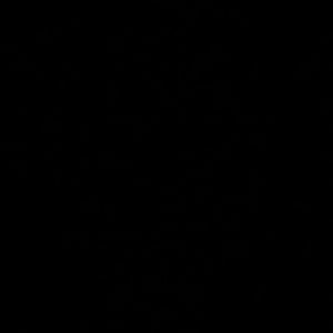 Meet your Posher, Leonard